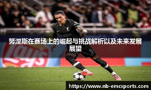 努涅斯在赛场上的崛起与挑战解析以及未来发展展望