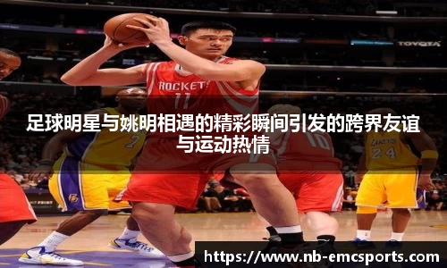 易倍体育下载