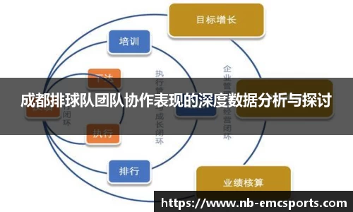 成都排球队团队协作表现的深度数据分析与探讨